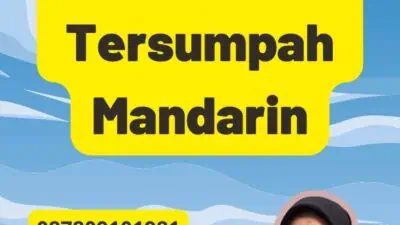 Hasil Penerjemah Tersumpah Mandarin