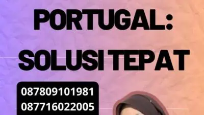 Jual Jasa Penerjemah Portugal: Solusi Tepat