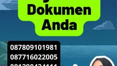 Notaris dan Proses Legalisasi Dokumen Anda