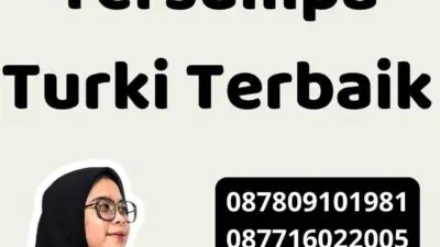 Penerjemah Tersumpa Turki Terbaik