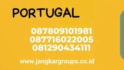 Penerjemah Tersumpah Terbaik Portugal