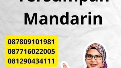 Peran Penerjemah Tersumpah Mandarin