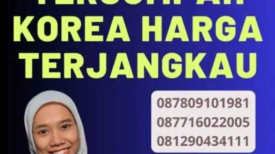 Promo Penerjemah Tersumpah Korea Harga Terjangkau