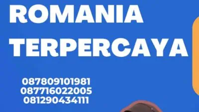 Pusat Penerjemah Romania Terpercaya