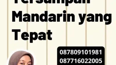 Pusat Penerjemah Tersumpah Mandarin yang Tepat