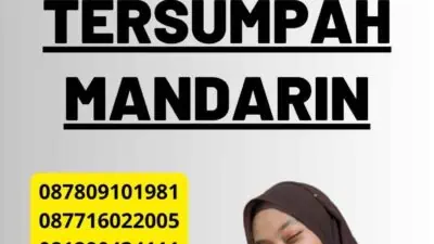 Sulitnya Penerjemah Tersumpah Mandarin