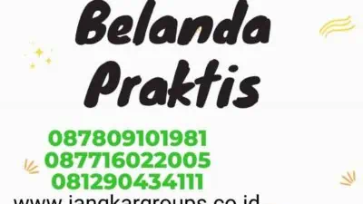 Tips Memilih Penerjemah Belanda Praktis