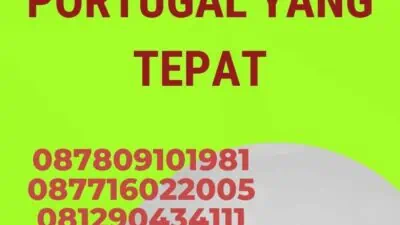 Tips Memilih Penerjemah Portugal yang Tepat