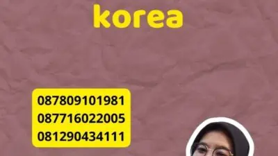 panduan lengkap penerjemah korea