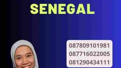 Langkah-langkah Proses Visa Senegal Mudah