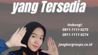 Jenis Visa Kerja China yang Tersedia