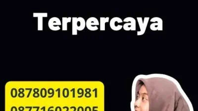 Legalisir Ijazah Resmi Terpercaya