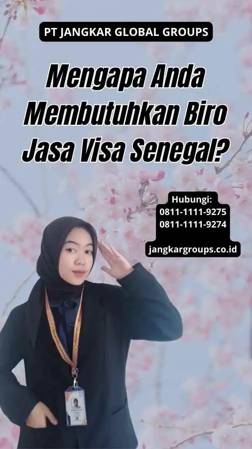 Mengapa Anda Membutuhkan Biro Jasa Visa Senegal