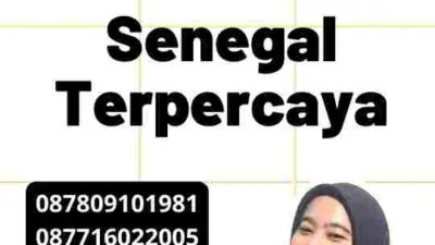 Mengenal Jasa Visa Senegal Terpercaya