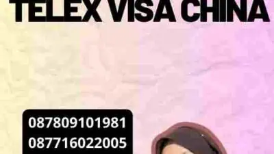 Panduan Cepat Telex Visa China