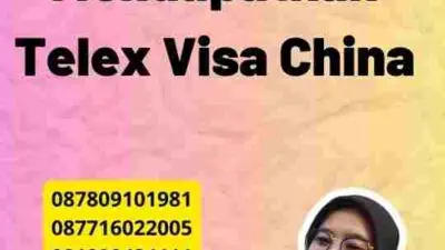 Panduan Mendapatkan Telex Visa China