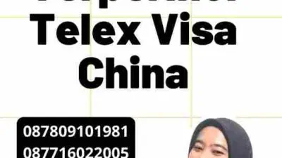 Panduan Terperinci Telex Visa China