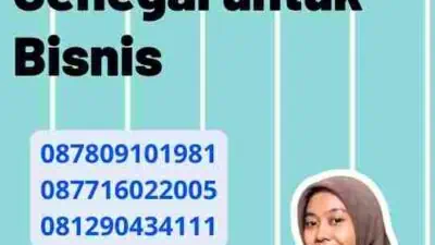 Pengurusan Visa Senegal untuk Bisnis