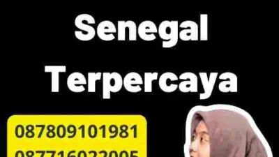 Perbandingan Jasa Visa Senegal Terpercaya