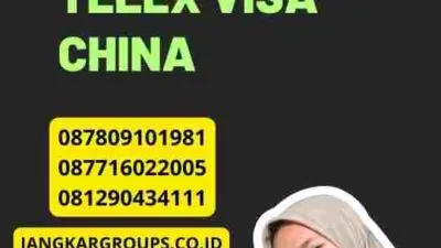 Proses Pengajuan Telex Visa China