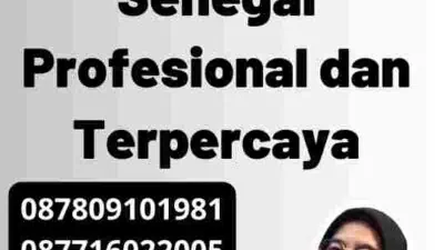 Solusi Tepat: Biro Jasa Visa Senegal Profesional dan Terpercaya