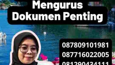 Solusi Efisien Mengurus Gamca UAE: Langkah-Langkah Terpercaya