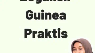 Agent Legalisir Guinea Praktis