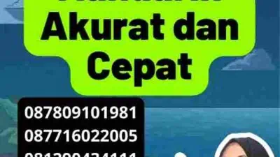 Jasa Terjemah Mandarin Akurat dan Cepat