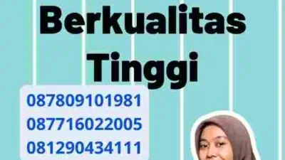 Jasa Translate Mandarin Berkualitas Tinggi