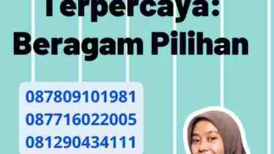 Jasa Visa Belanda Terpercaya: Beragam Pilihan