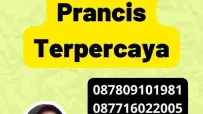 Pengalaman Mengurus Visa Prancis Terpercaya