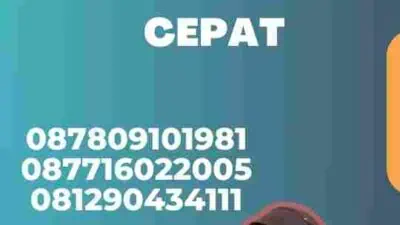 Cari Proses Visa Jepang Cepat