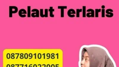 Jasa Buku Pelaut Terlaris