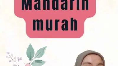 Jasa Translate Mandarin murah