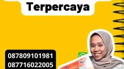 Layanan Translate Cepat di UAE yang Terpercaya