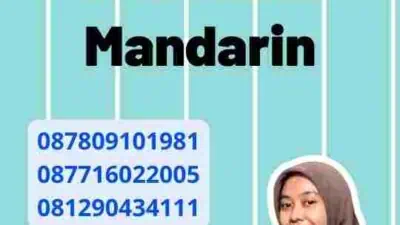 Proses Jasa Translate Mandarin