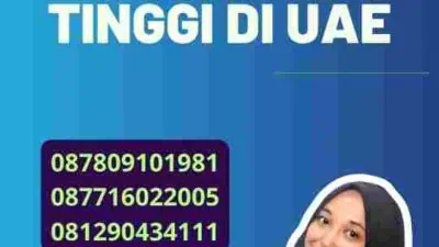 Solusi Translate Berkualitas Tinggi di UAE