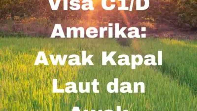 Visa C1D Amerika