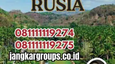 Apply Visa Rusia