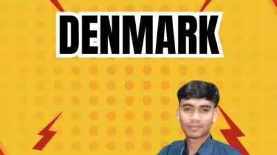 Provider Visa Denmark