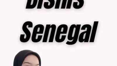 Butuh Visa Bisnis Senegal