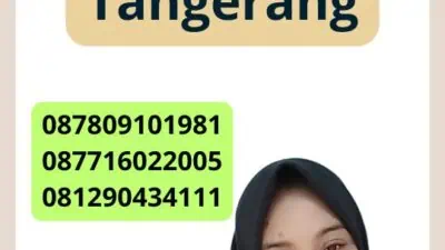 Jasa Pembuatan Pt Online Tangerang