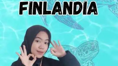 Layanan Visa Finlandia