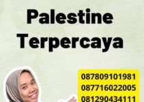 Legalisir dokumen Palestine Terpercaya