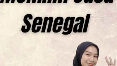 Tips Memilih Jasa Senegal