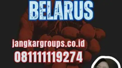 Visa Belajar Belarus