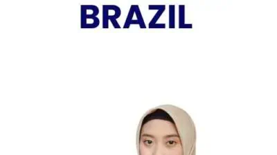 Visa Investor Brazil