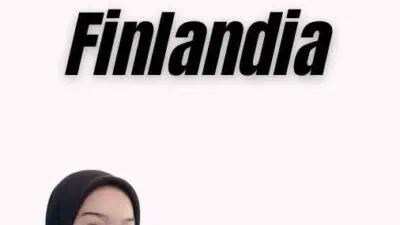 Visa Nasional Finlandia