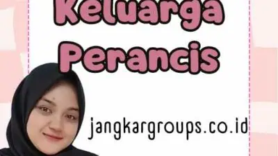 Visa Penyatuan Keluarga Perancis