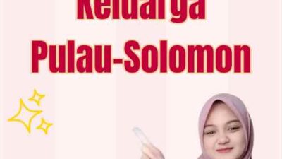 Visa Penyatuan Keluarga Pulau-Solomon